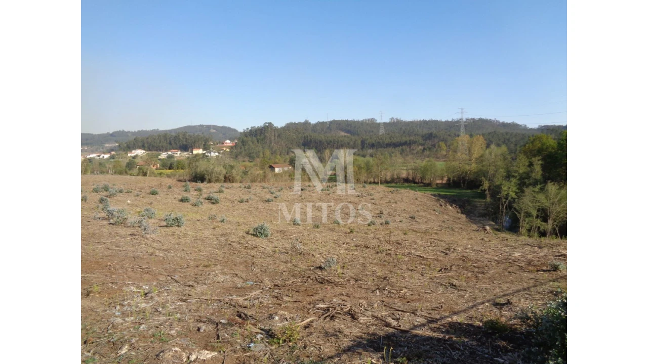 Terreno para Venda em Anais Foto 2