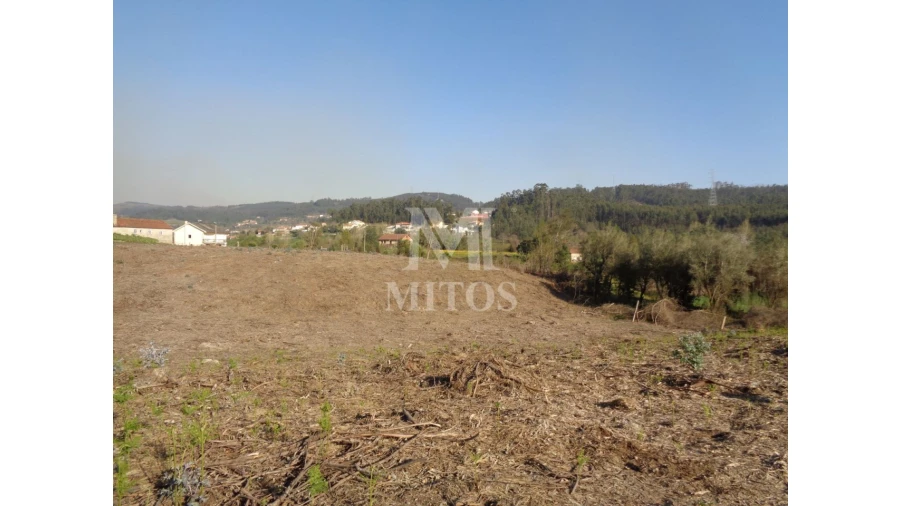 Terreno para Venda em Anais Foto 6