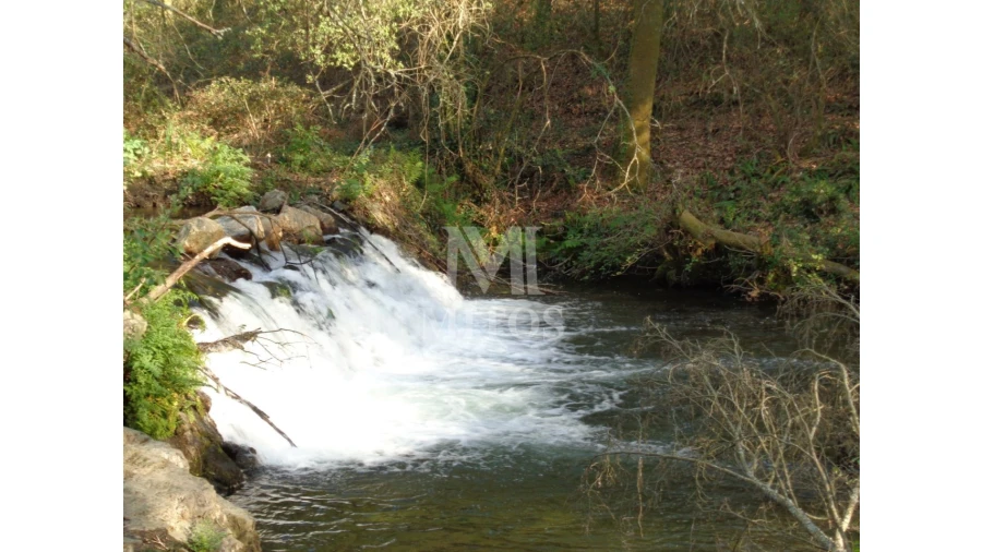 Terreno para Venda em Anais Foto 8