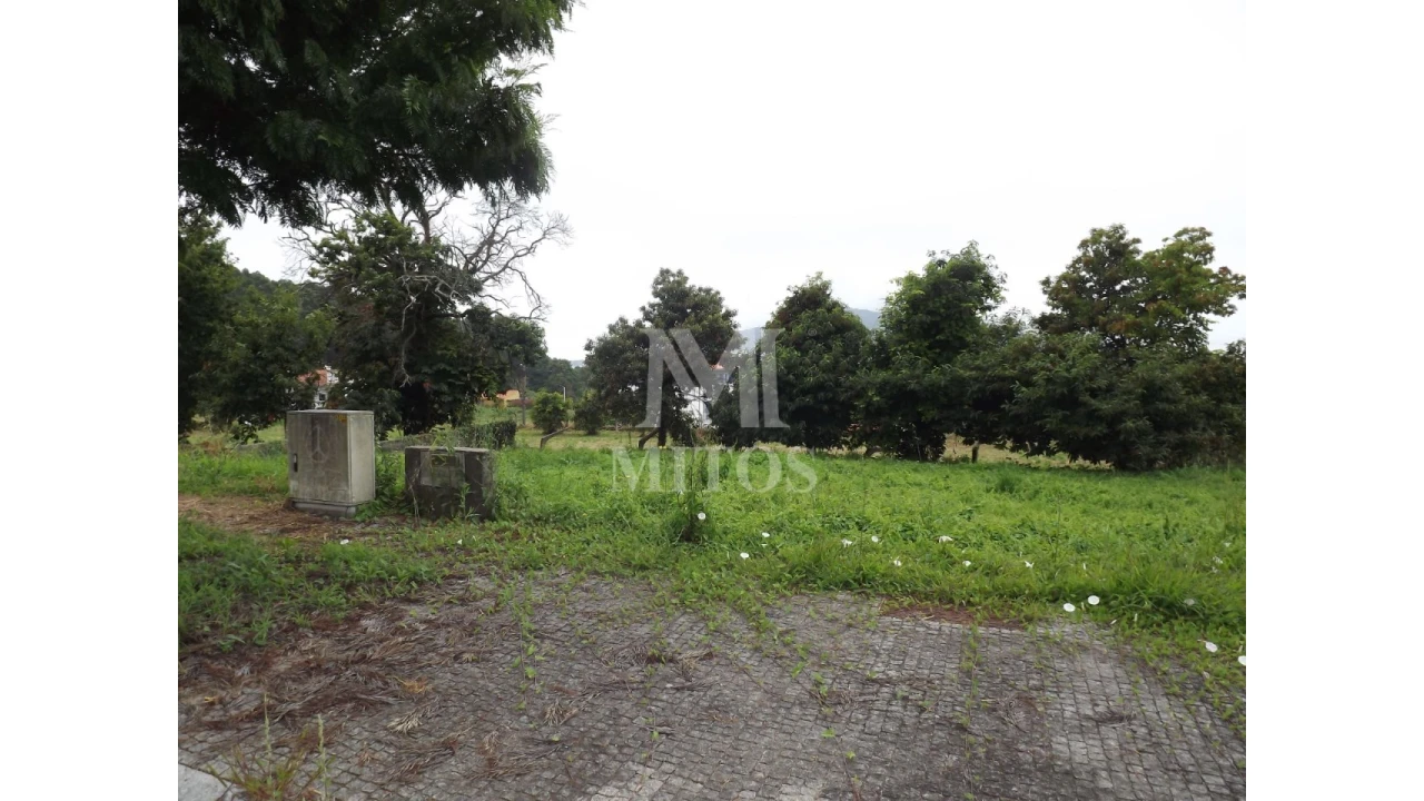 Terreno para Venda em Seixas Foto 3
