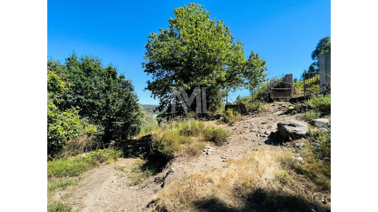 Terreno para Venda em Navió e Vitorino dos Piães Foto 2