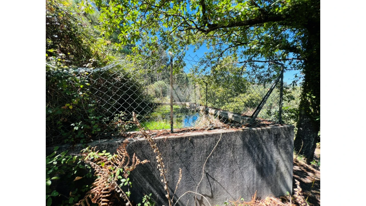Terreno para Venda em Navió e Vitorino dos Piães Foto 4