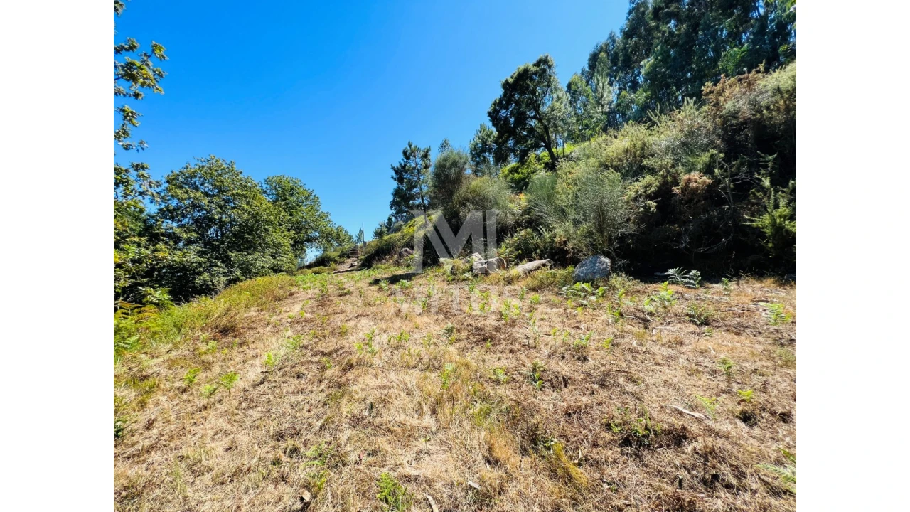 Terreno para Venda em Navió e Vitorino dos Piães Foto 6