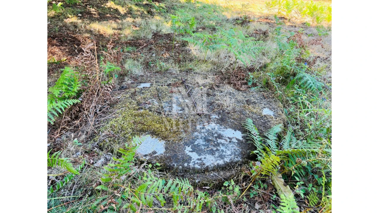 Terreno para Venda em Navió e Vitorino dos Piães Foto 8
