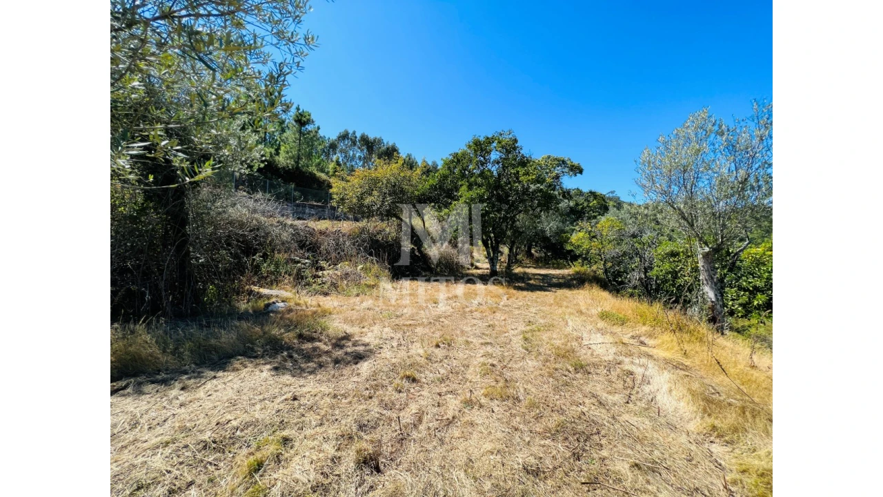 Terreno para Venda em Navió e Vitorino dos Piães Foto 10