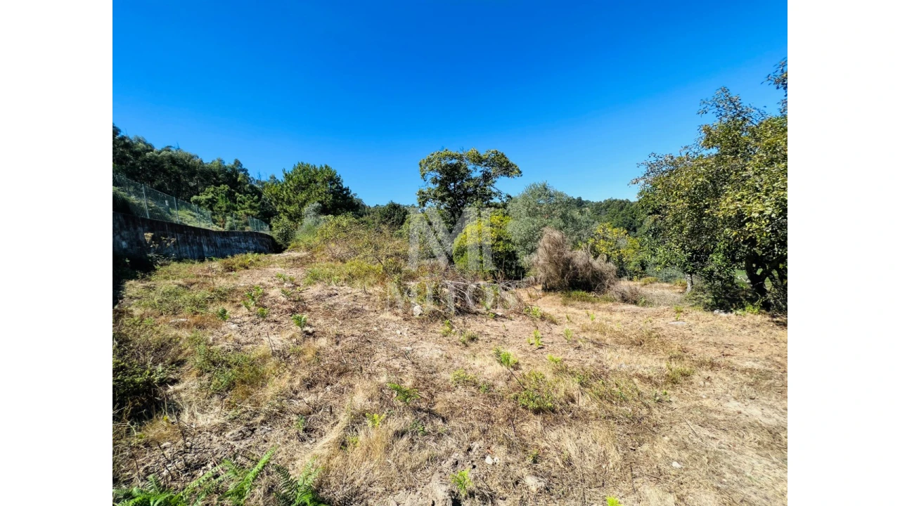 Terreno para Venda em Navió e Vitorino dos Piães Foto 11
