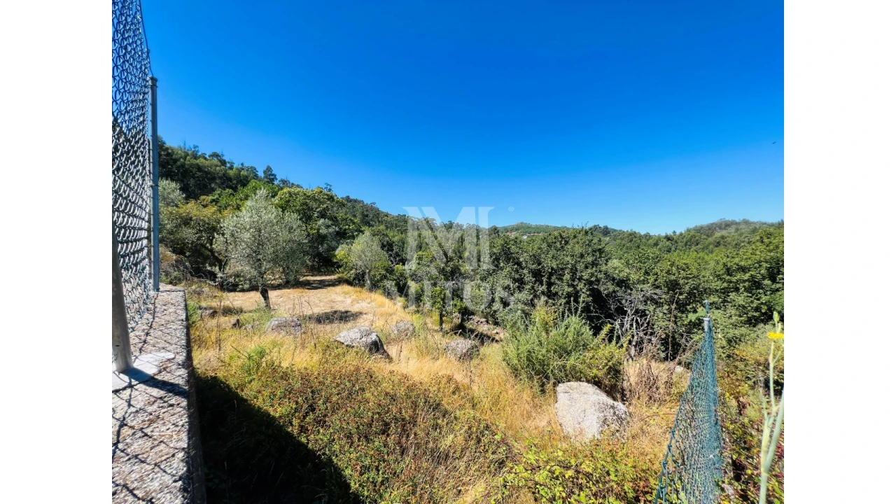 Terreno para Venda em Navió e Vitorino dos Piães Foto 14