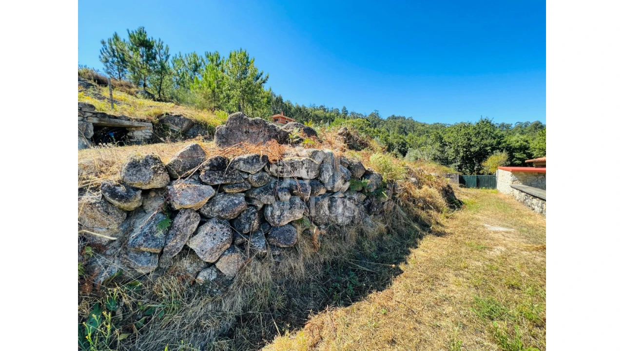 Terreno para Venda em Navió e Vitorino dos Piães Foto 15