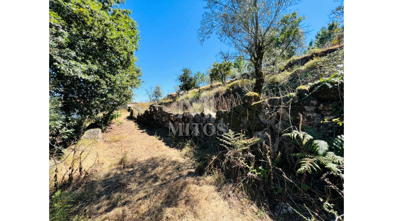 Terreno para Venda em Navió e Vitorino dos Piães Foto 16