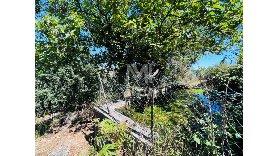 Terreno para Venda em Navió e Vitorino dos Piães Foto 3