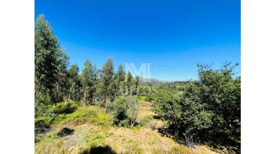Terreno para Venda em Navió e Vitorino dos Piães Foto 5