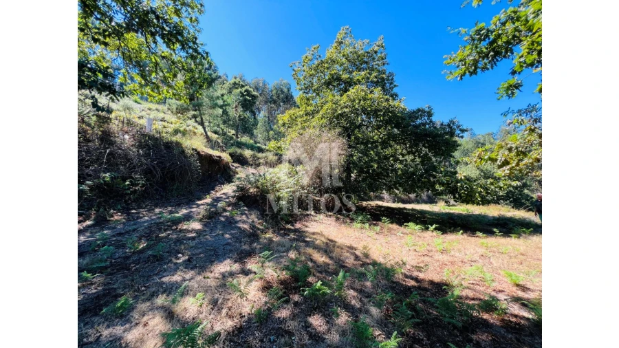 Terreno para Venda em Navió e Vitorino dos Piães Foto 7