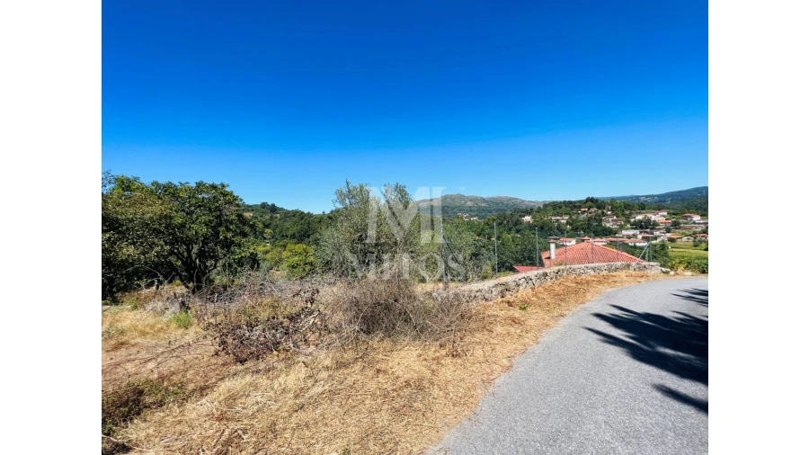 Terreno para Venda em Navió e Vitorino dos Piães Foto 12