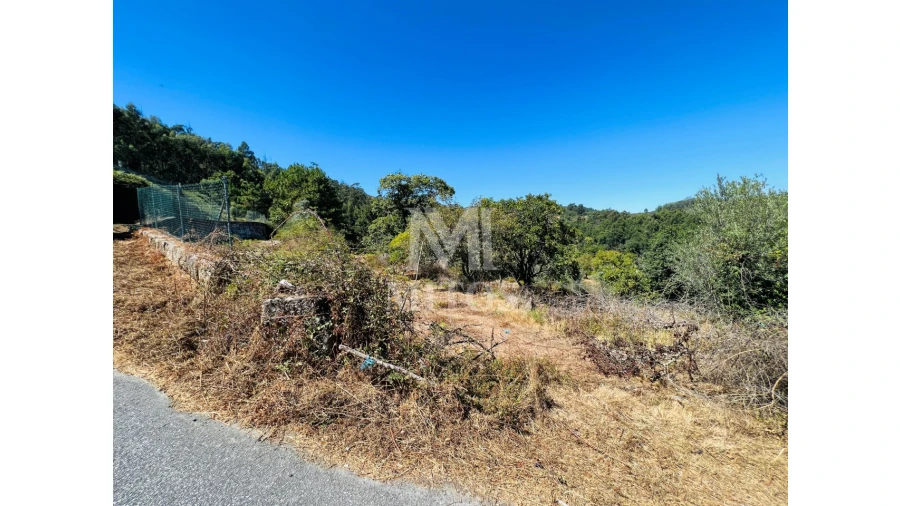 Terreno para Venda em Navió e Vitorino dos Piães Foto 13