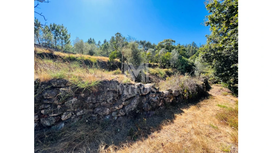 Terreno para Venda em Navió e Vitorino dos Piães Foto 17