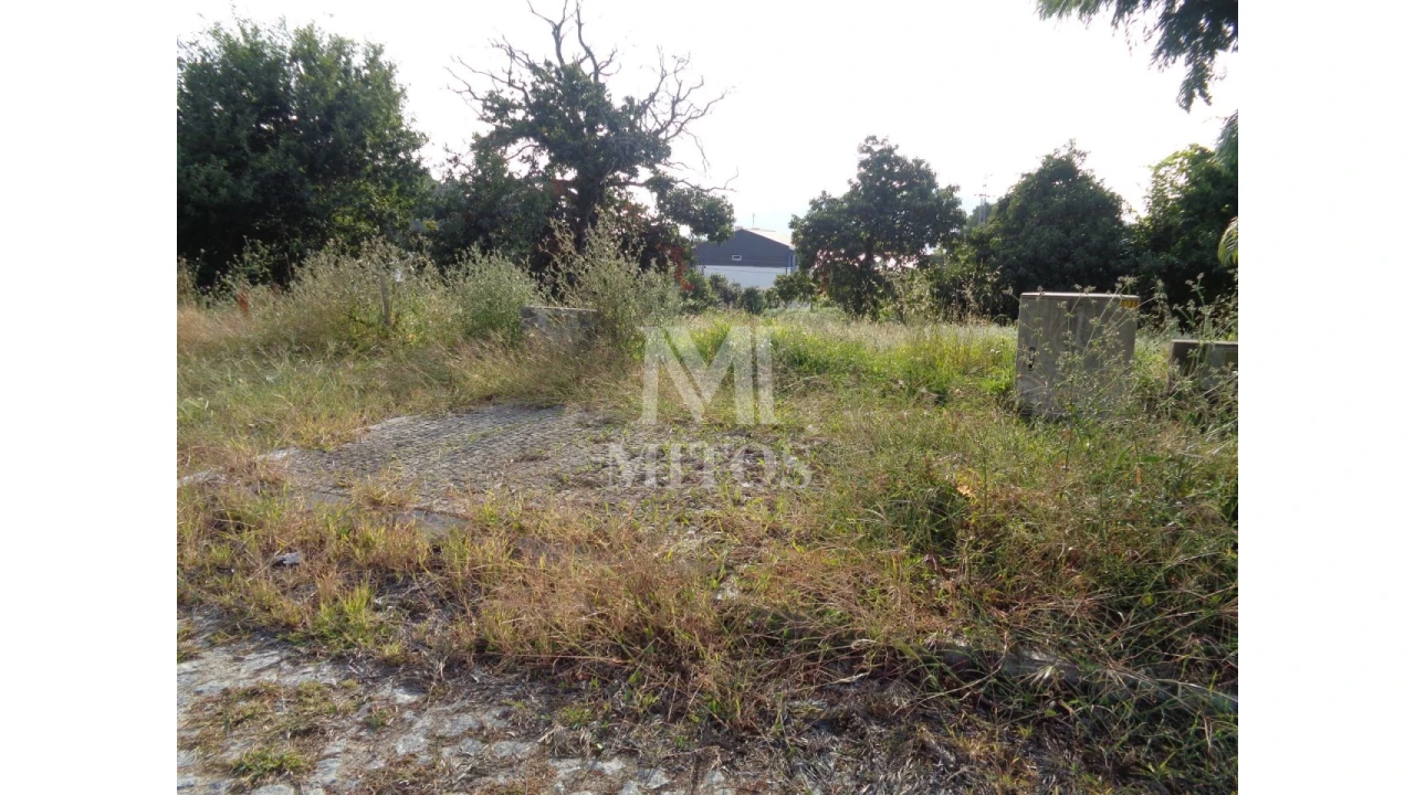 Terreno para Venda em Seixas Foto 2