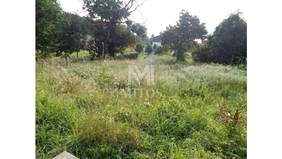 Terreno para Venda em Seixas