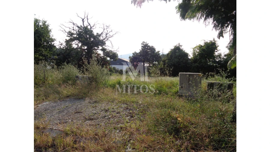 Terreno para Venda em Seixas Foto 4