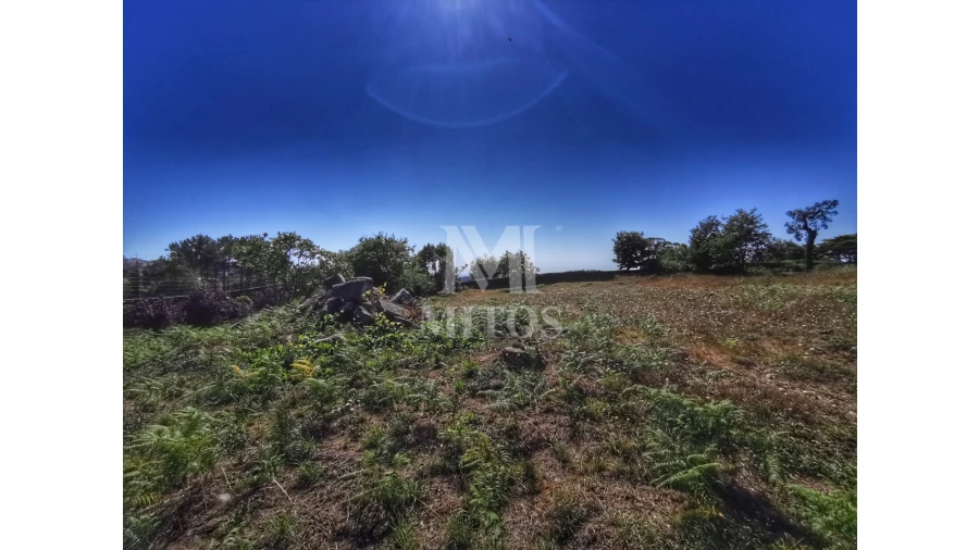 Terreno para Venda em Afife Foto 6