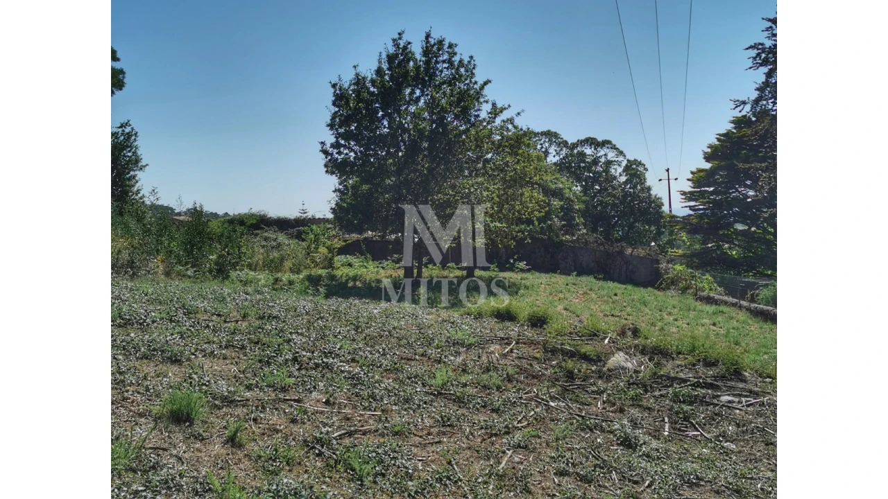 Terreno para Venda em Afife Foto 1