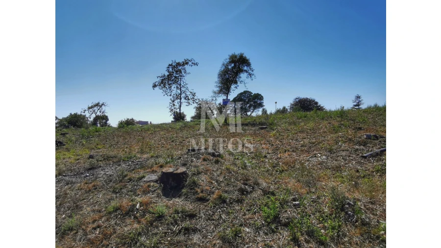 Terreno para Venda em Afife Foto 2