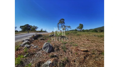 Terreno para Venda em Afife
