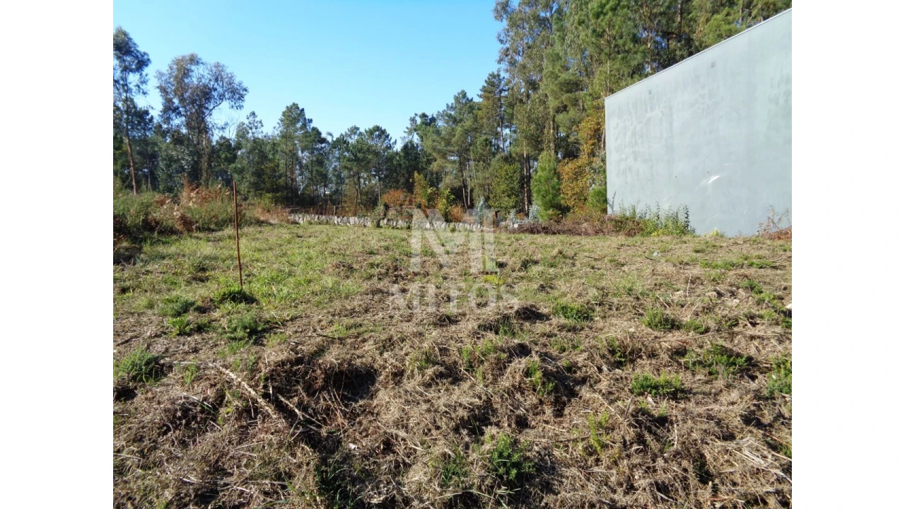 Terreno para Venda em Forjães Foto 2