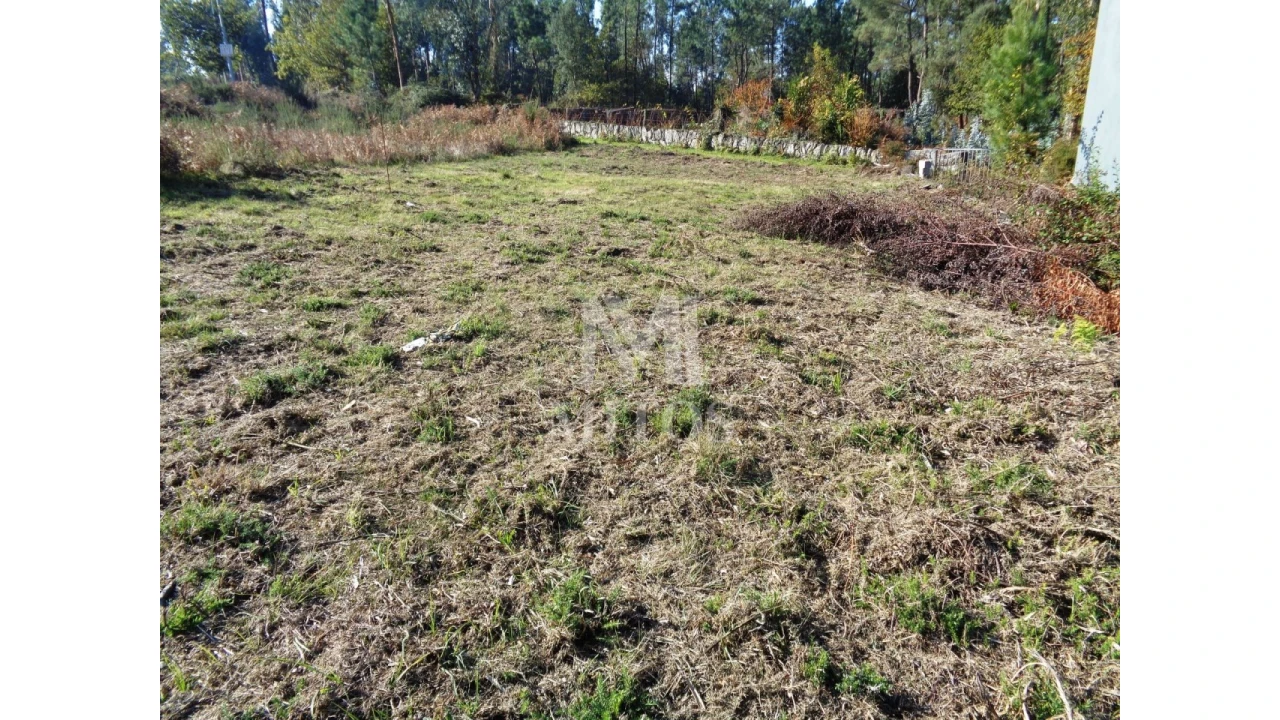 Terreno para Venda em Forjães Foto 4