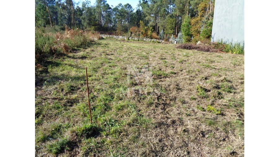 Terreno para Venda em Forjães Foto 3