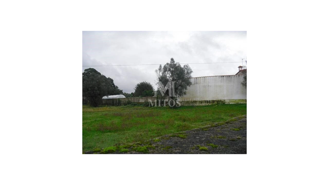 Terreno para Venda em Forjães Foto 2