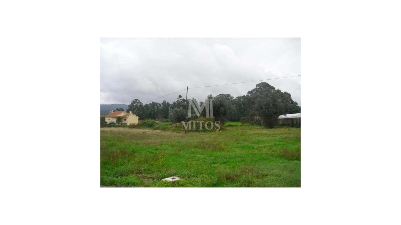 Terreno para Venda em Forjães Foto 3