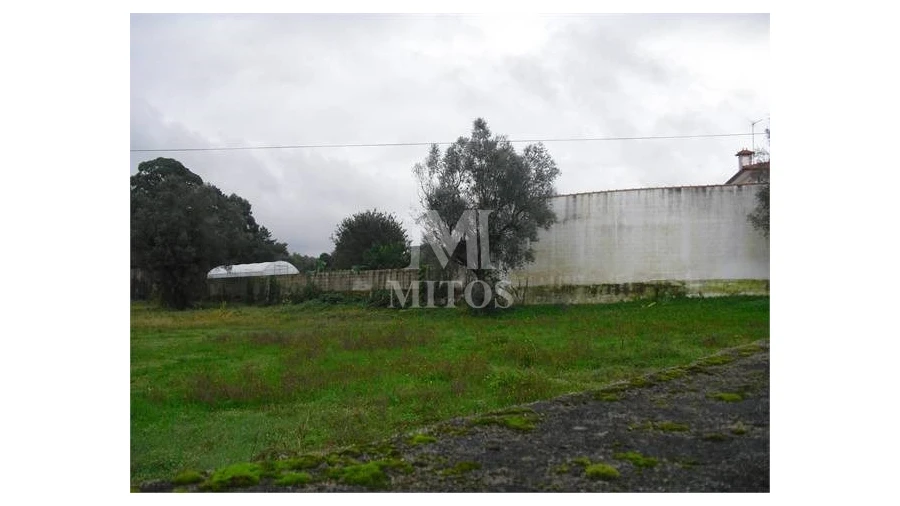 Terreno para Venda em Forjães Foto 2