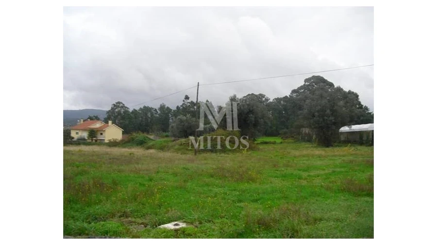 Terreno para Venda em Forjães Foto 3