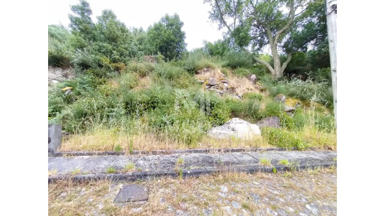 Terreno para Venda em Ancora Foto 4