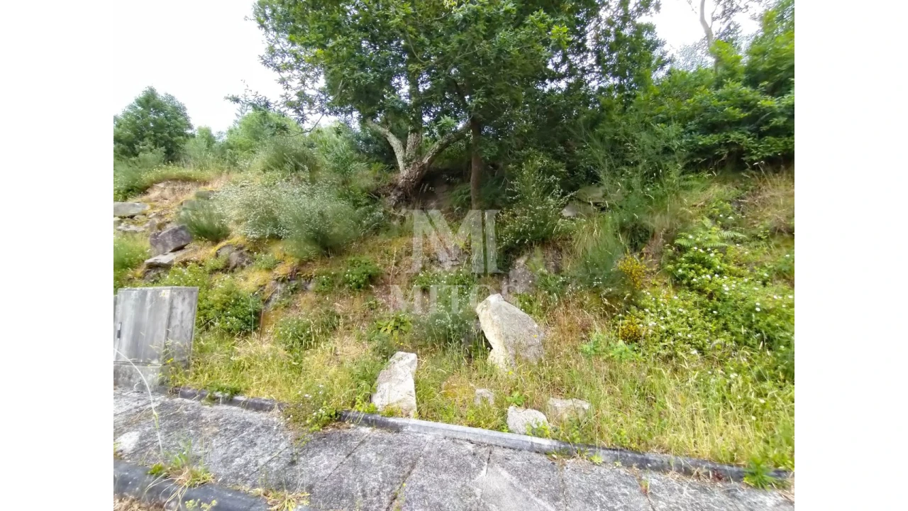 Terreno para Venda em Ancora Foto 8