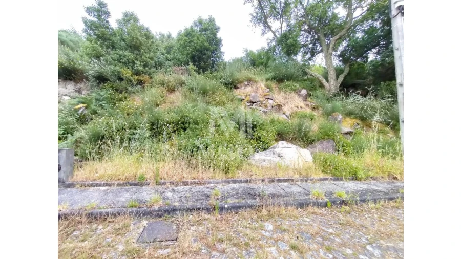 Terreno para Venda em Ancora Foto 4