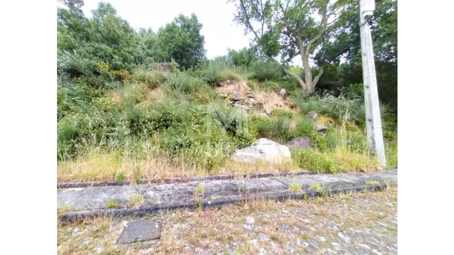 Terreno para Venda em Ancora Foto 7