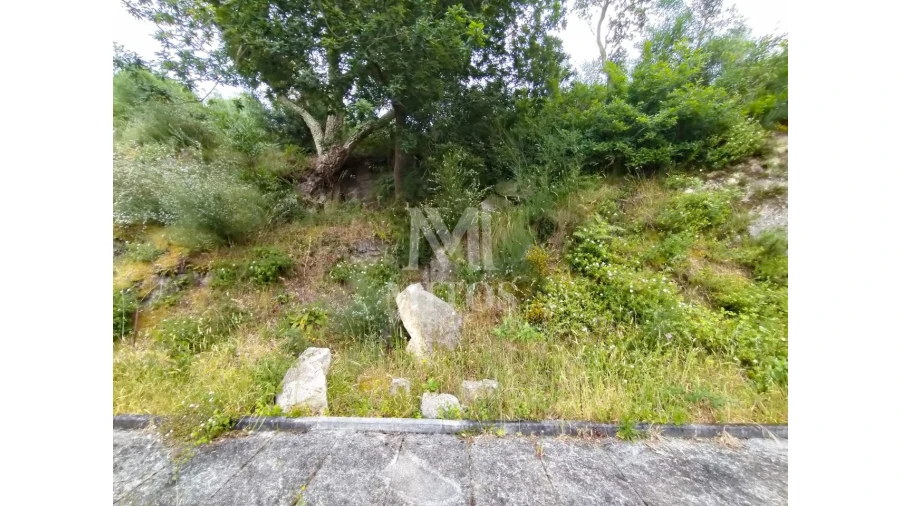 Terreno para Venda em Ancora Foto 2