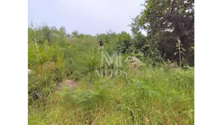 Terreno para Venda em Ancora Foto 3