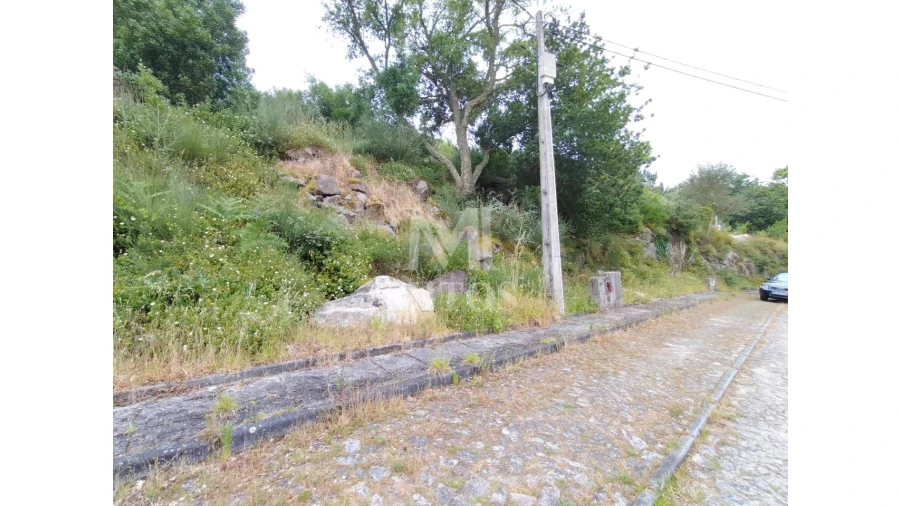 Terreno para Venda em Ancora