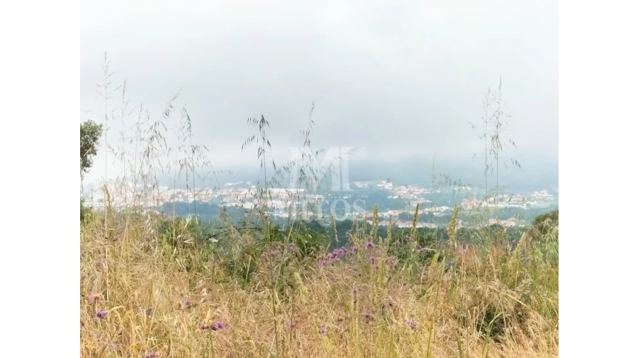 Terreno para Venda em Ancora Foto 10