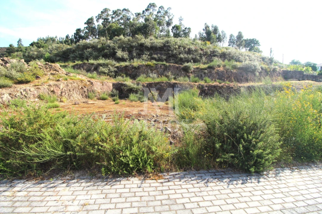 Terreno para Venda em Barroselas e Carvoeiro Foto 4