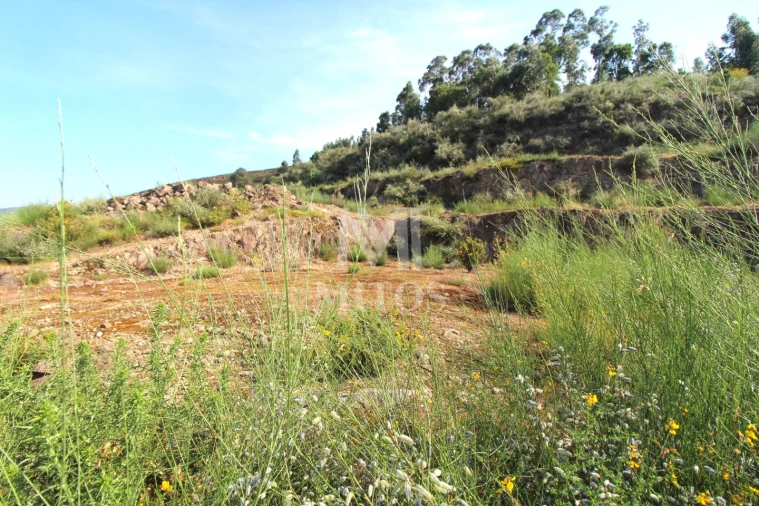 Terreno para Venda em Barroselas e Carvoeiro Foto 5
