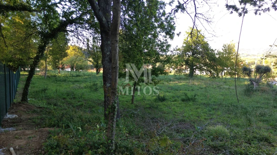 Terreno para Venda em Gondarem Foto 2