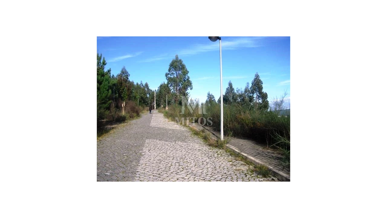 Terreno para Venda em Tamel (Santa Leocádia) e Vilar do Monte Foto 2