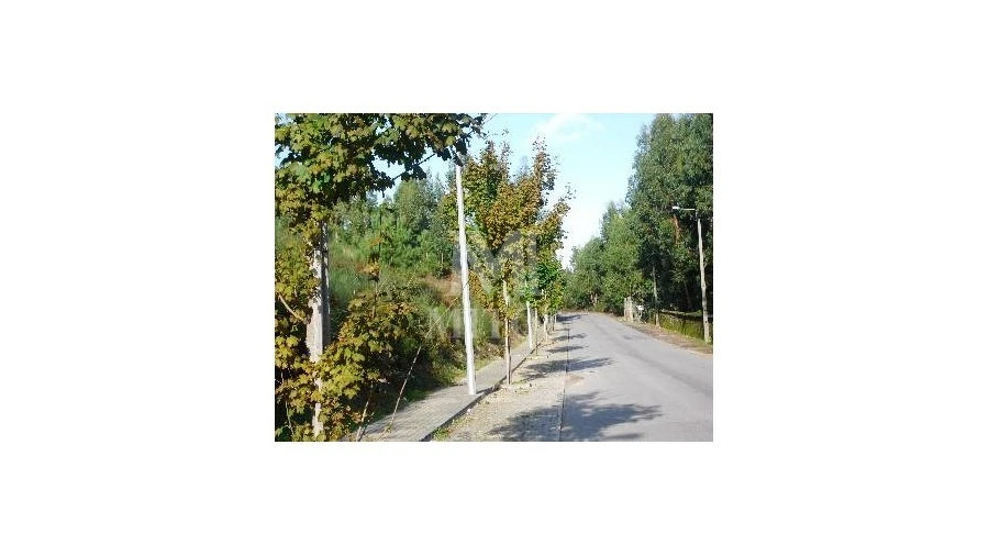 Terreno para Venda em Tamel (Santa Leocádia) e Vilar do Monte Foto 3