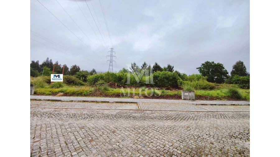 Terreno para Venda em Mujães Foto 8