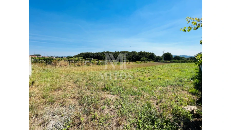 Terreno para Venda em Santa Maria Maior e Monserrate e Meadela Foto 1
