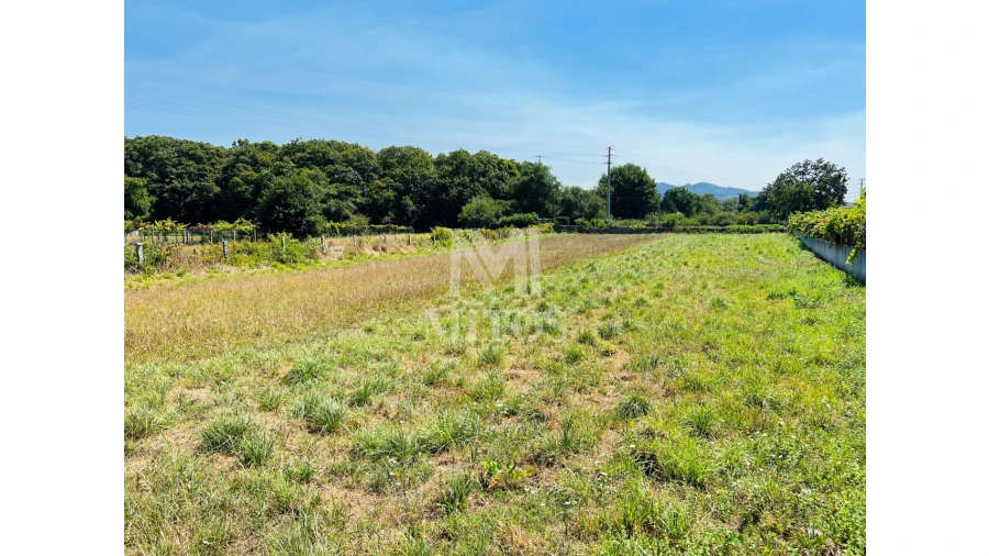 Terreno para Venda em Santa Maria Maior e Monserrate e Meadela Foto 6