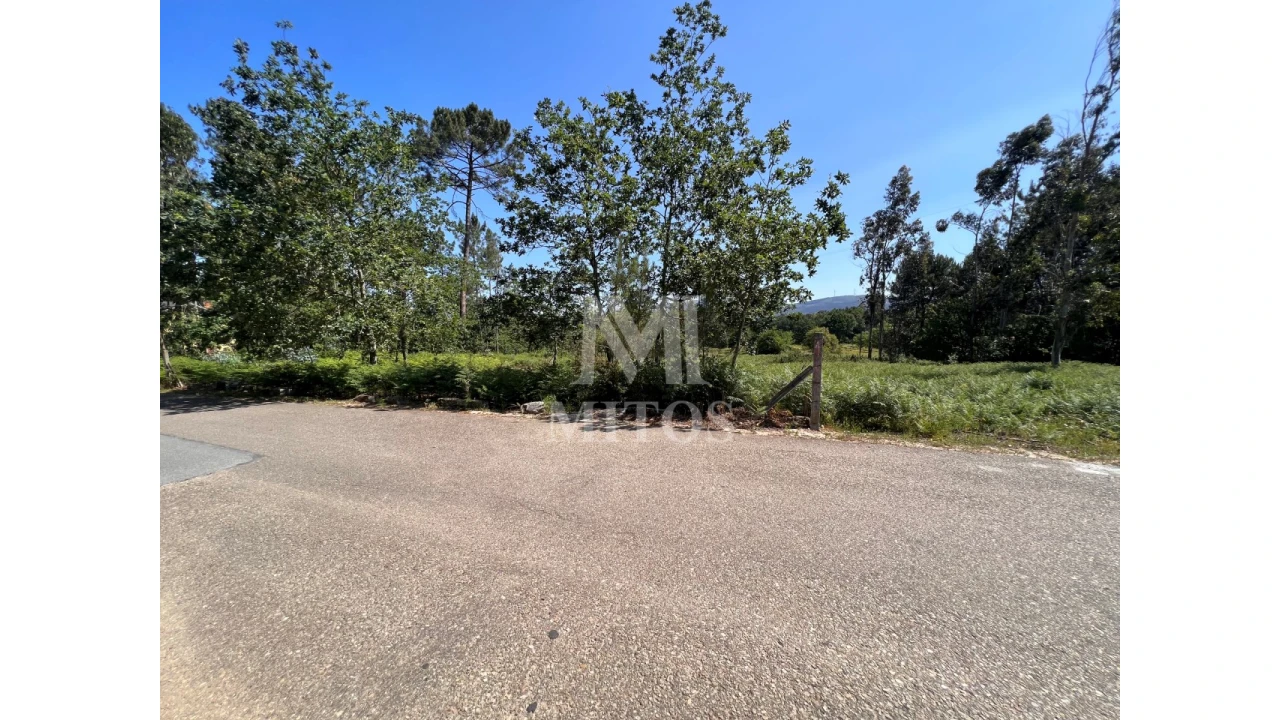 Terreno para Venda em São Pedro da Torre Foto 3